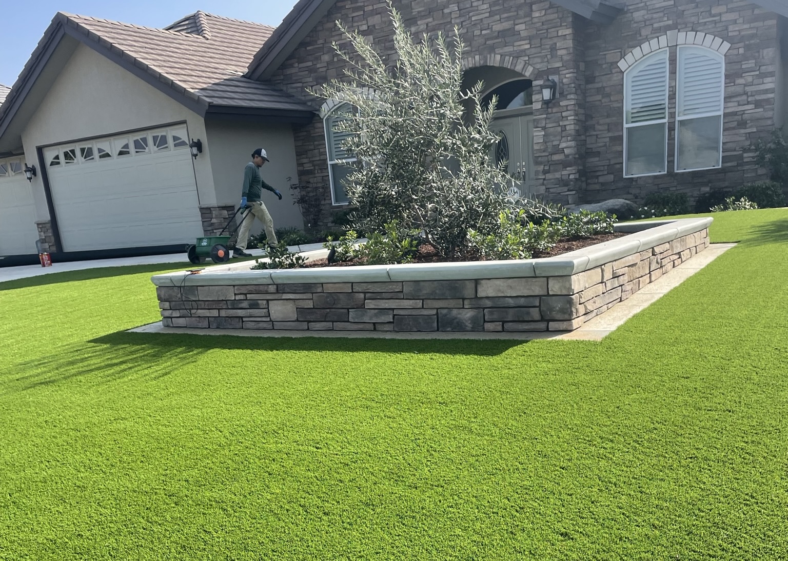 Turf and raised garden