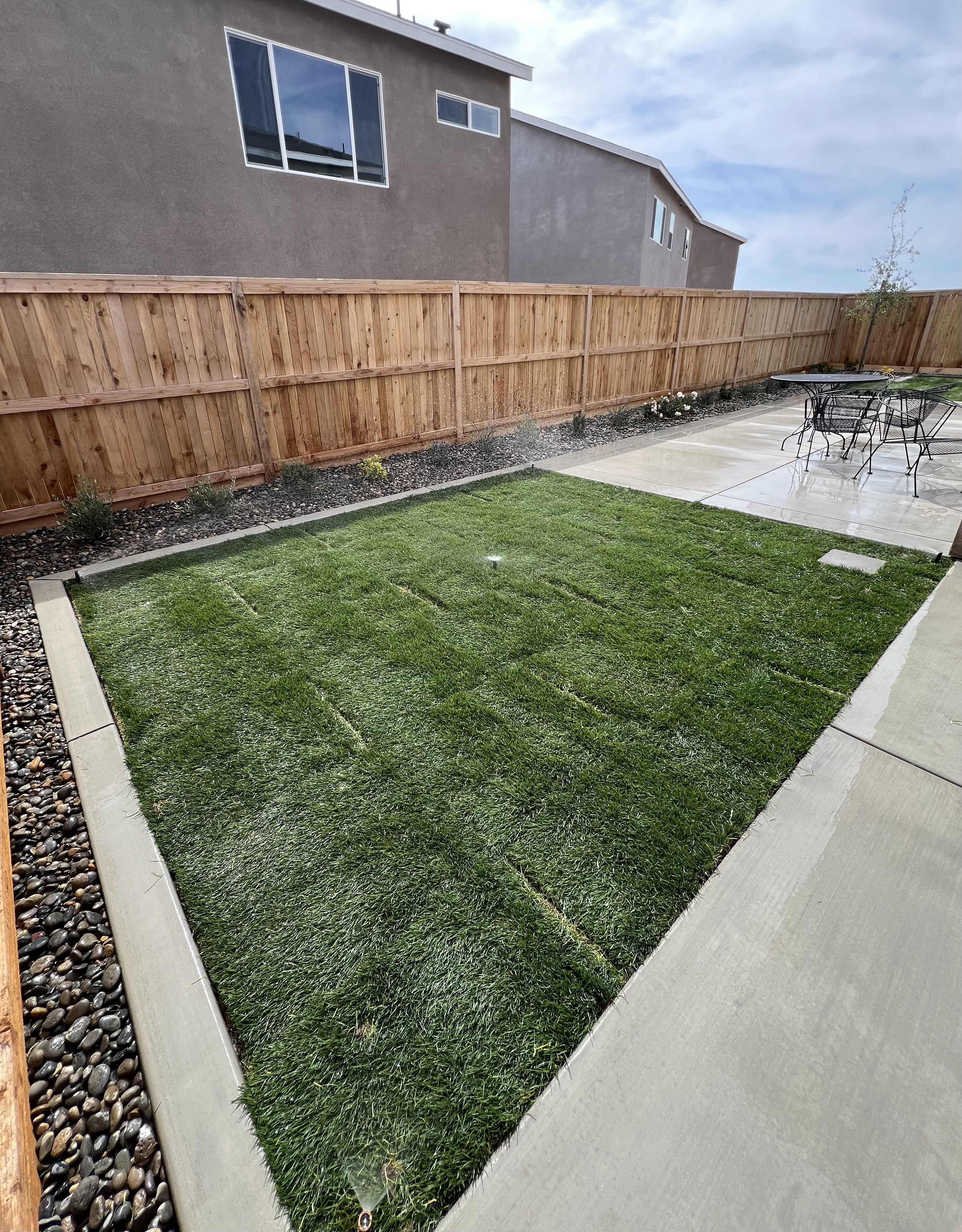 Clean backyard turf